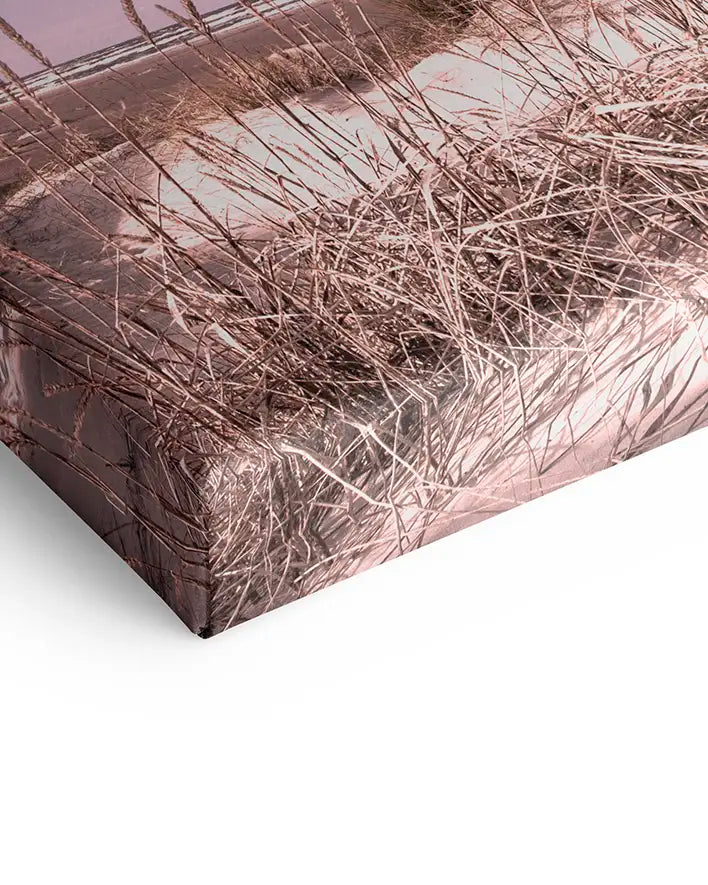 Dünen im Mittsommer