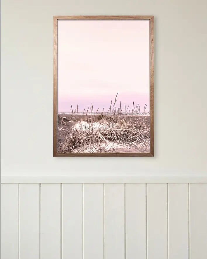 Dünen im Mittsommer