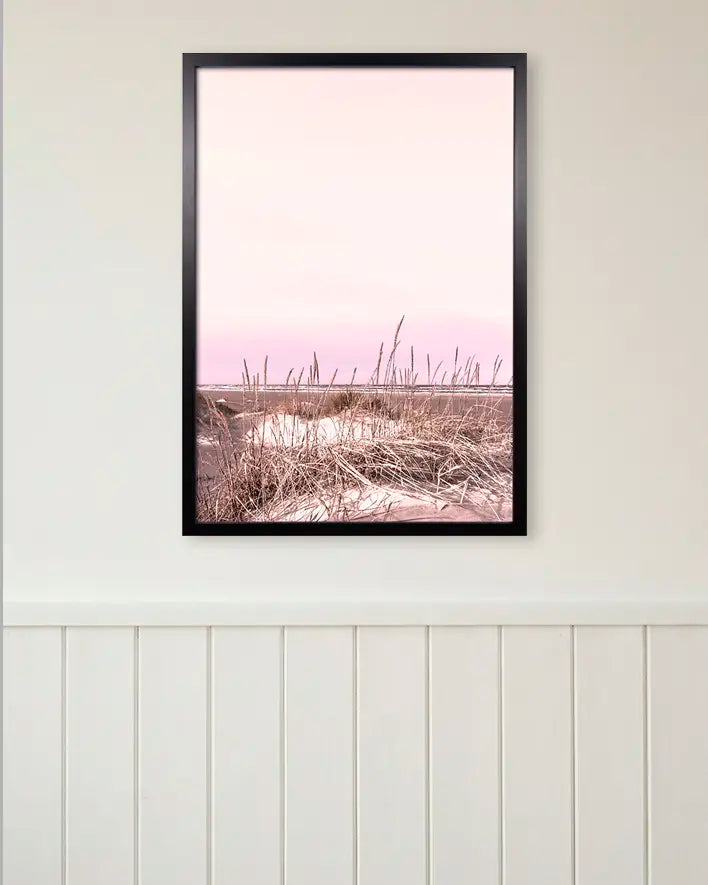 Dünen im Mittsommer