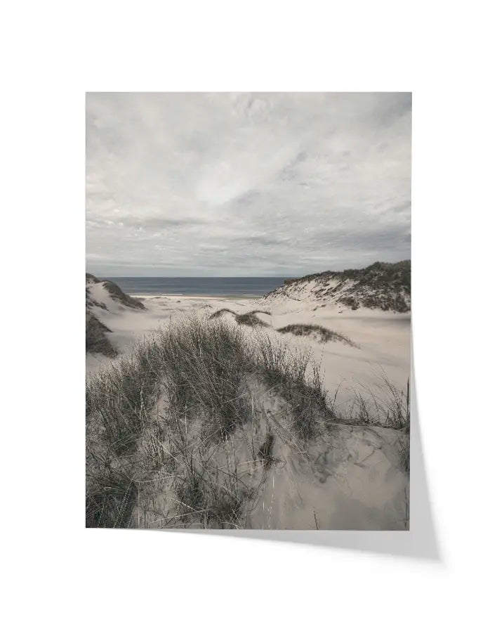 Dünenblick auf das Meer