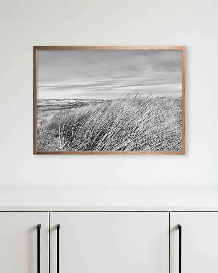 Dünengras Schwarz-Weiß