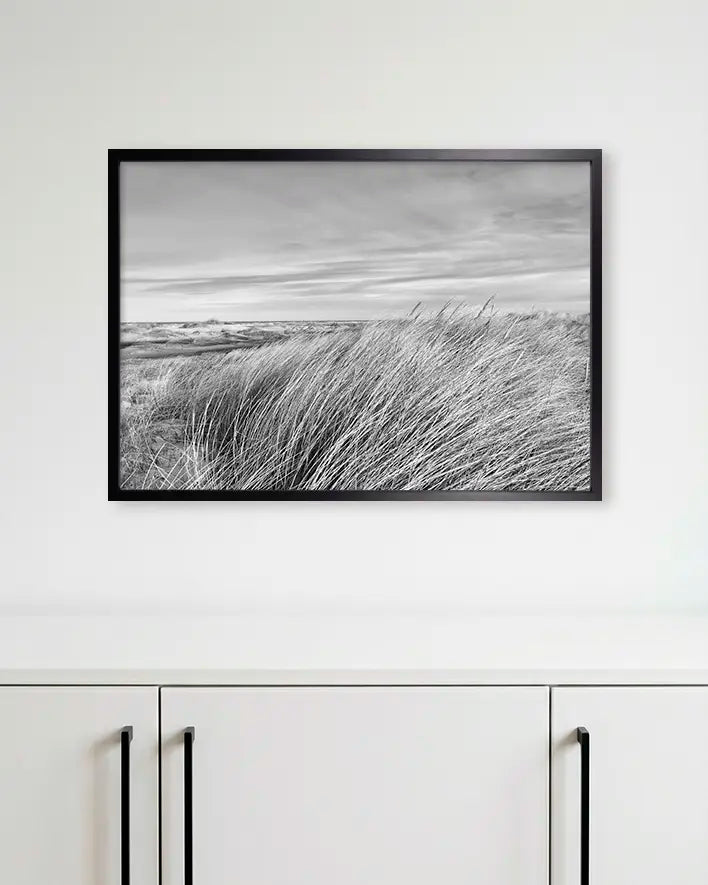 Dünengras Schwarz-Weiß