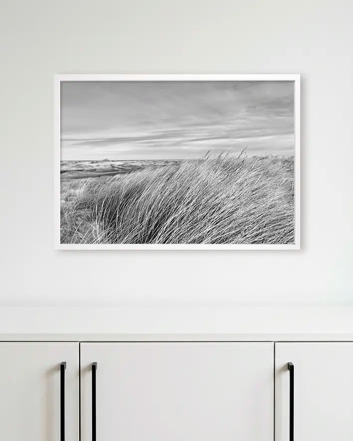 Dünengras Schwarz-Weiß