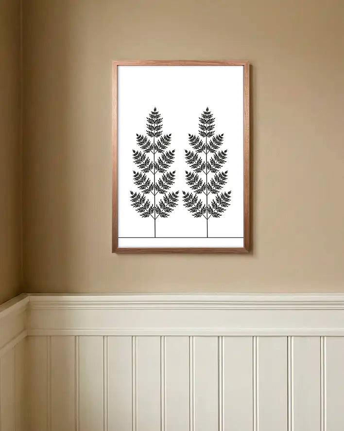 Farn | Schwarz-Weiß