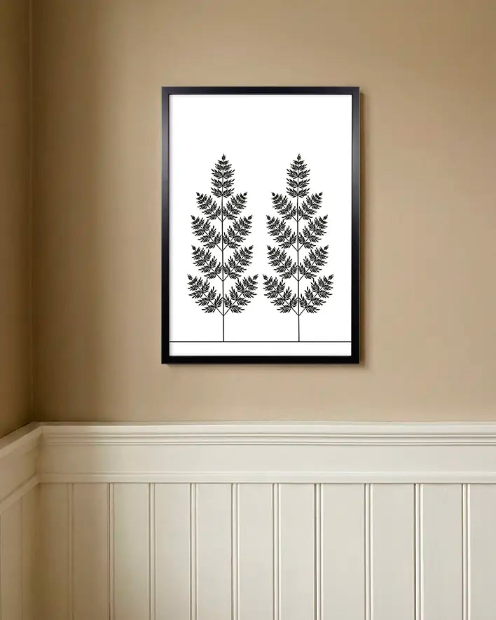 Farn | Schwarz-Weiß