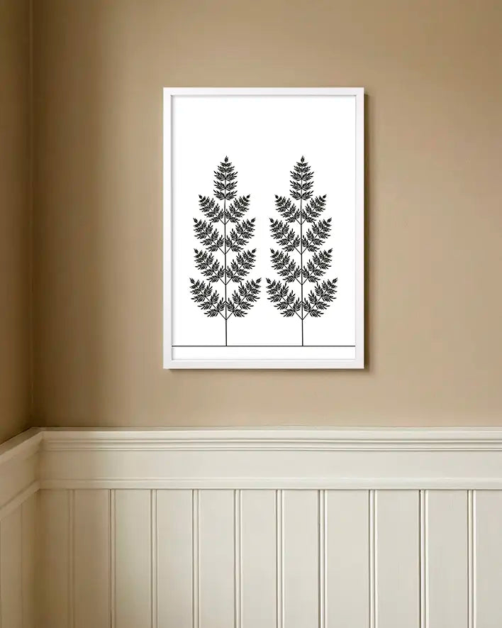 Farn | Schwarz-Weiß