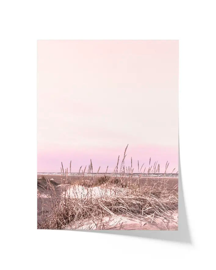 Dünen im Mittsommer