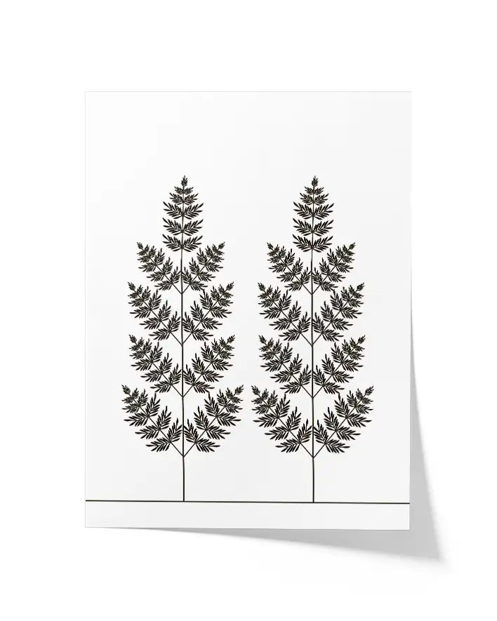 Farn | Schwarz-Weiß