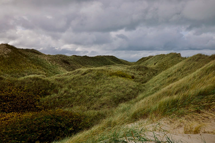 Traumhafte Landschaftsfotografien von Dünen am Meer.