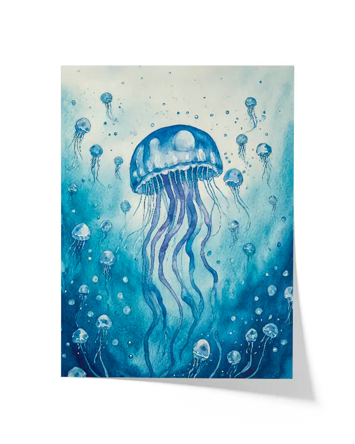 Jellyfish