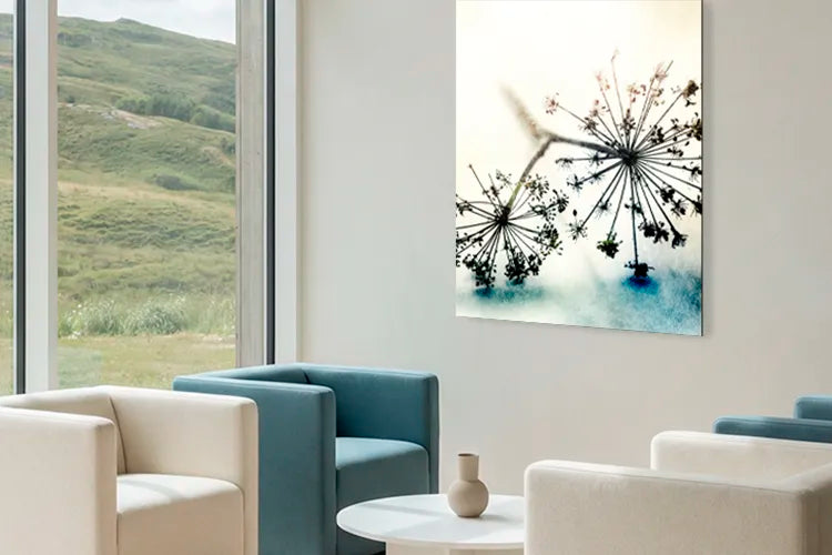 Großformatige Wandbilder mit kreativer Fotografie inspirieren Besuchende und schaffen erste Gesprächsanlässe.