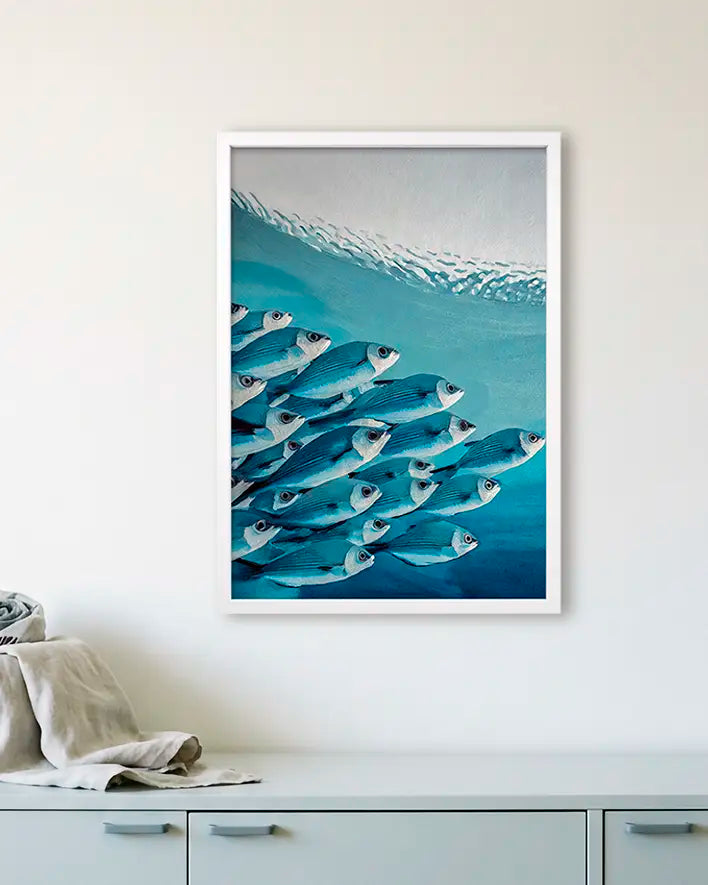 Schwarm von Heringen