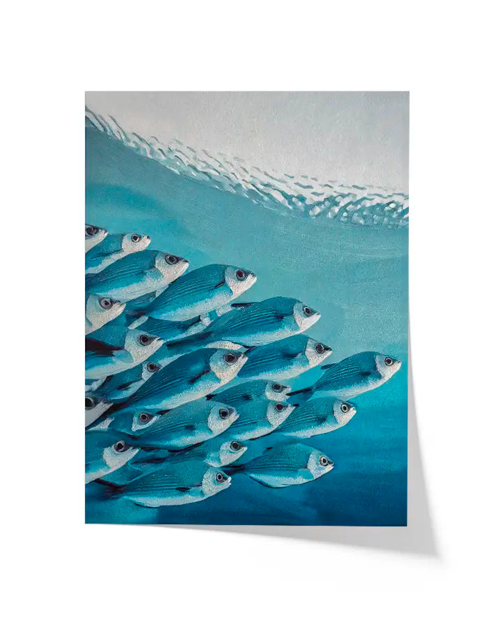 Schwarm von Heringen