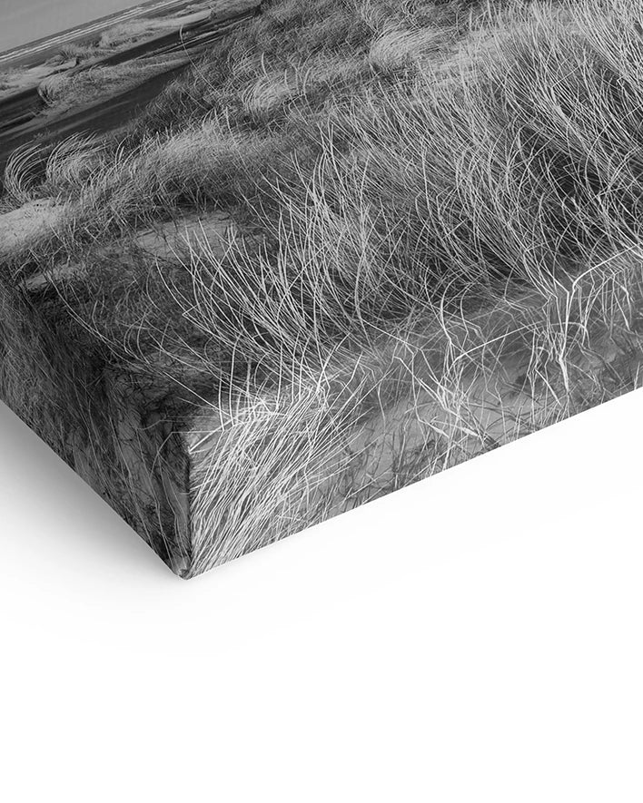 Strand mit Dünengras