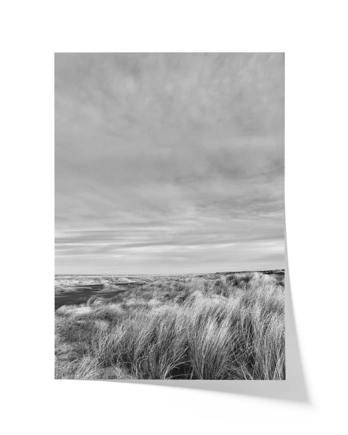 Strand mit Dünengras